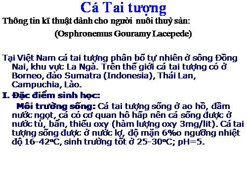 Cá tai tượng