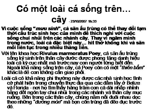 có 1 loài cá sống trên cây