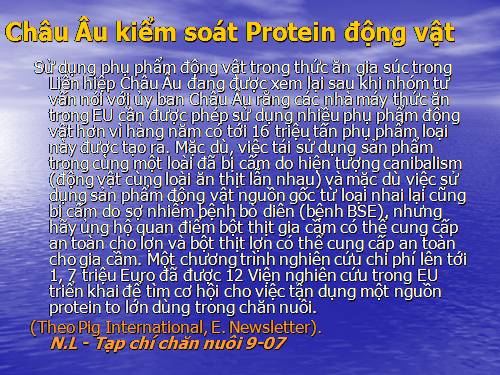 châu âu kiểm soát protein động vật