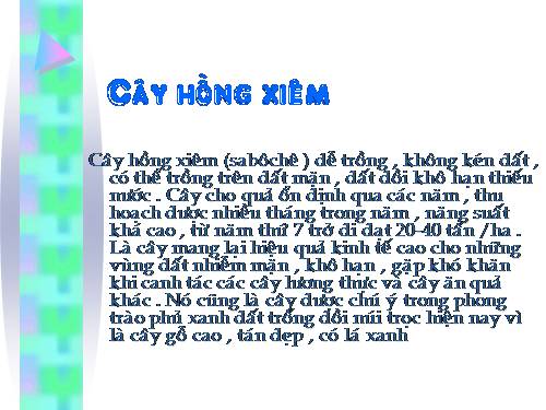 cây hồng xiêm