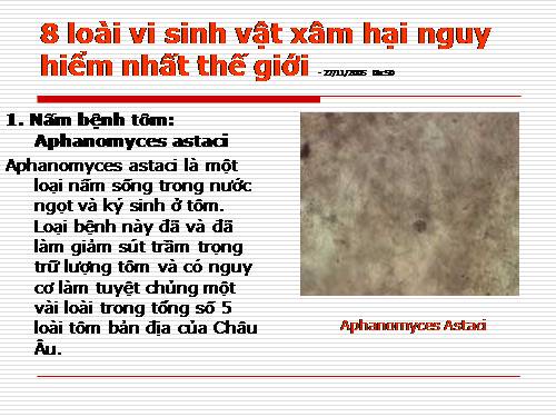 8 loài sinh vật xâm hại nguy hiểm