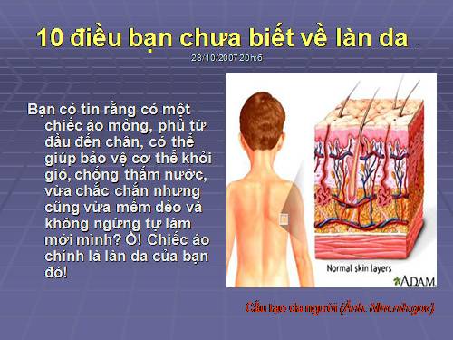 1 điều cần biết về là da