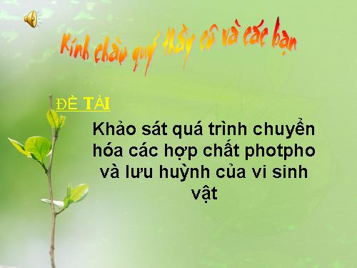 Quá trinh chuyển hóa Photpho và Lưu huỳnh của vi sinh vật