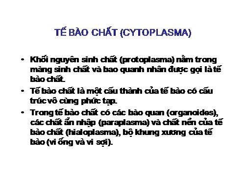 3 Nghean-BDG Cac bao quan khac.ppt