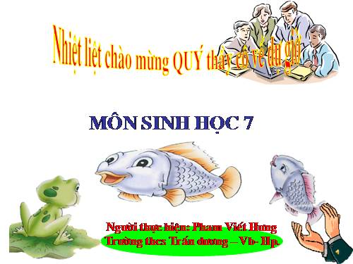 Tiết 33