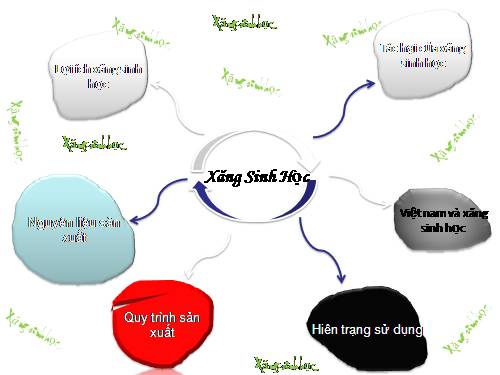 SX xăng sinh học