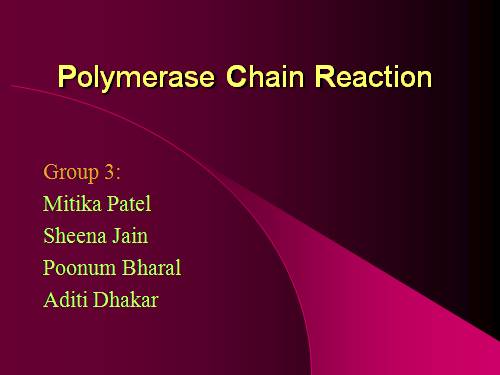 Polymerase Chain Reaction
