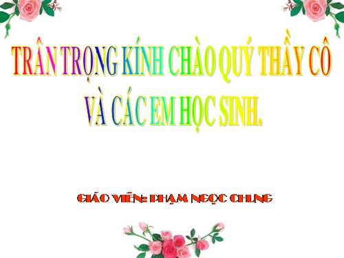 Đặc điểm chung của thực vật hạt kín