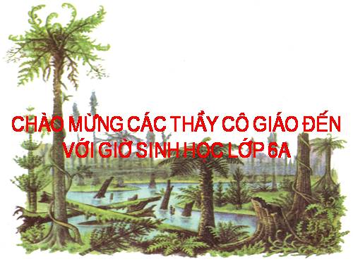 Sự phát triể của thực vật trên trái đất