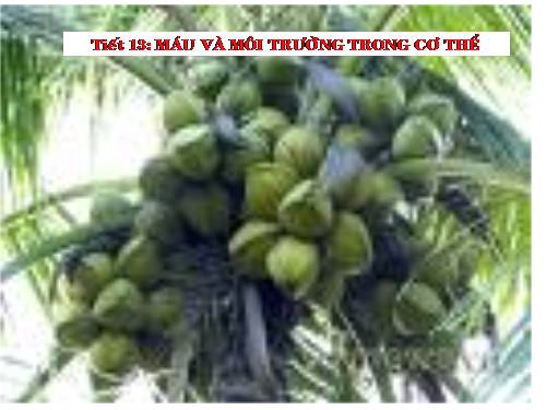 Mau_va_moi_truong_trong_co_the