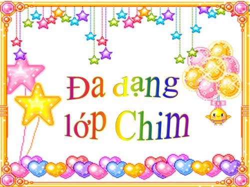 Đa dạng lớp Chim