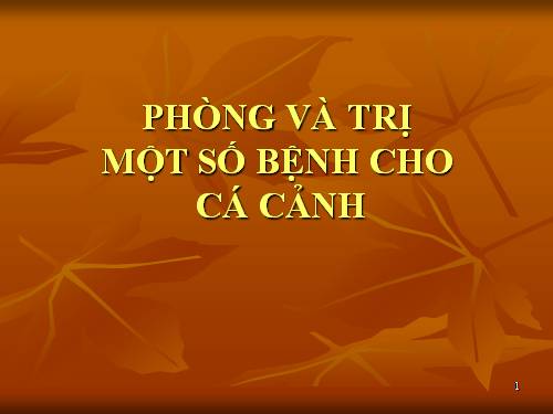 bài giảng bệnh cá