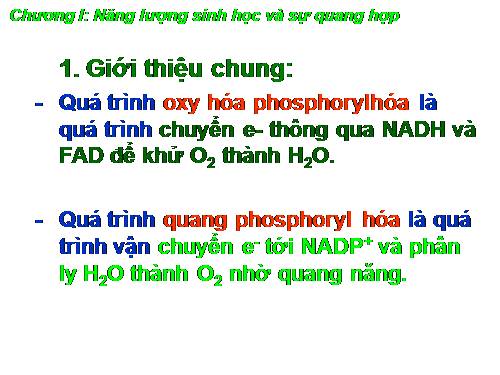 Quang hợp