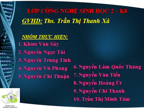 sinh vat chuyen gen