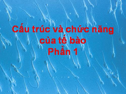 TẾ BÀO HỌC P1