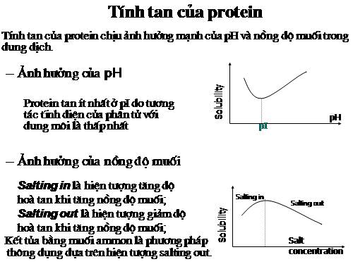 KT tách và tinh sạch protein