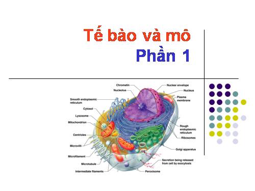 TẾ BÀO VÀ MÔ (PHÂN 1)