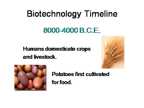 Biotechnology Timeline