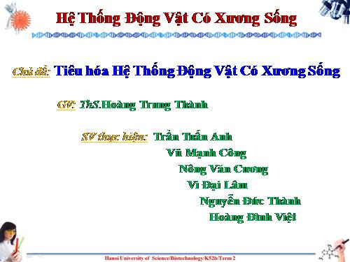 Tiêu hóa của ĐVCXS