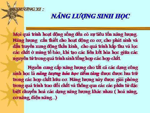 SINH HÓA ĐỘNG P2