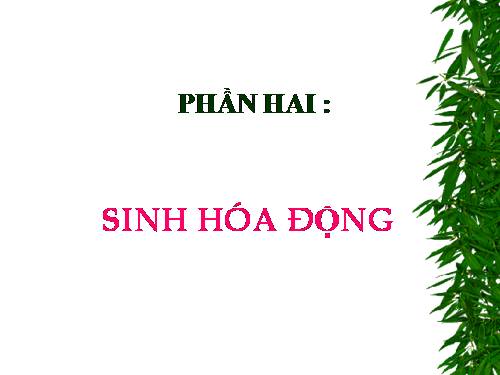 SINH HÓA ĐỘNG P1