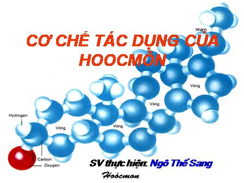 CƠ CHẾ TÁC ĐỘNG CỦA HORMON