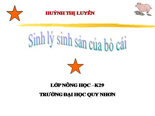 SINH LÝ SINH SẢN BÒ CÁI
