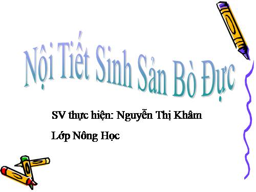 NỘI TIẾT SINH SẢN BÒ ĐỰC