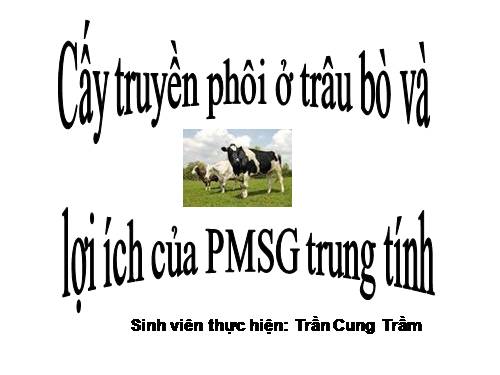 CẤY TRUYỀN PHÔI