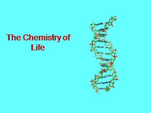 HÓA HỌC CỦA SỰ SỐNG