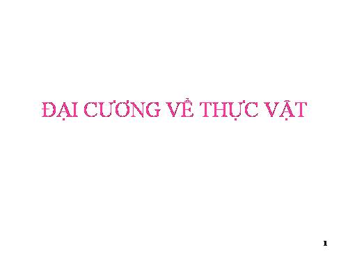 THỰC VẬT