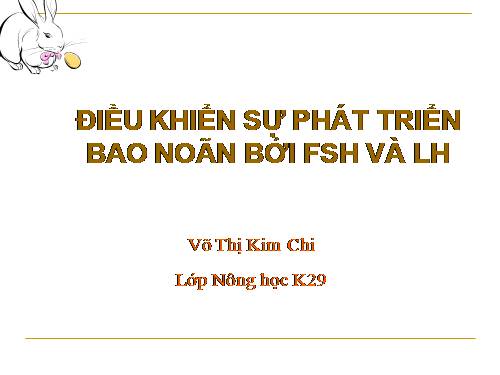 SỰ PHÁT TRIỂN CỦA BAO NOÃN