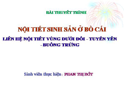 NỘI TIẾT SINH SẢN Ở BÒ CÁI