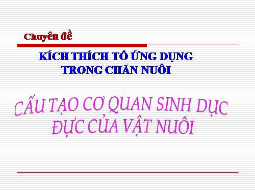 CƠ QUAN SINH DỤC ĐỰC