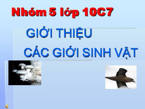 cac gioi sinh vat