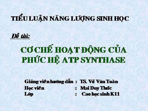 CƠ CHẾ HOẠT ĐỘNG CỦA ATP SYNTHASE