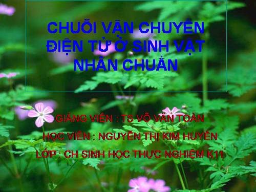 CHUỖI VẬN CHUYỂN ĐIỆN TỬ