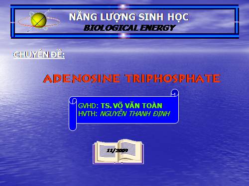 CHỨC NĂNG ATP