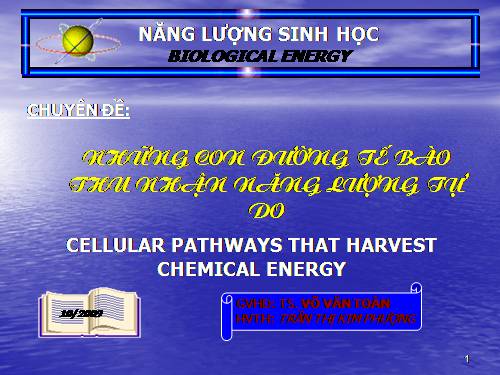 CÁC CON DƯỜNG CHUYỂN HÓA Q