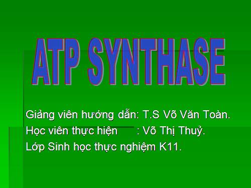 ENZYM TỔNG HỢP ATP