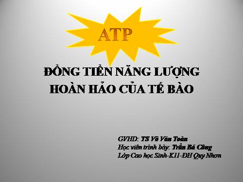 ĐỒNG TIỀN NĂNG LƯỢNG
