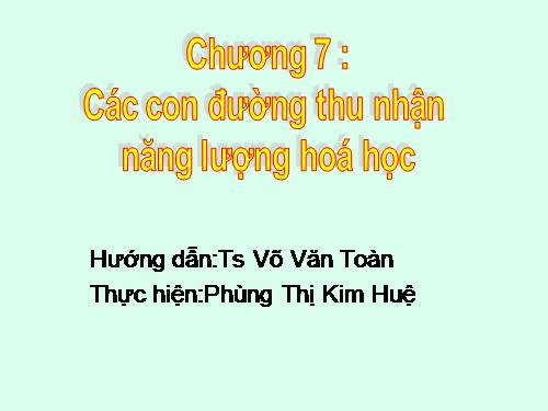 CÁC CON ĐƯỜNG TÍCH LŨY NĂNG LƯỢNG