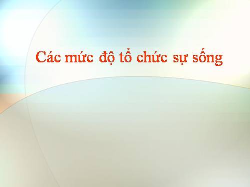 CAC MUC DO TO CHUC P1