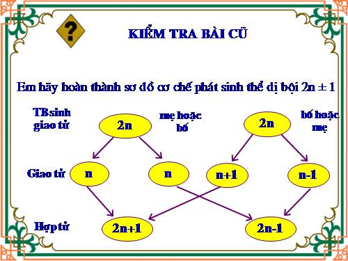 Thi GVG huyện Tiên Du