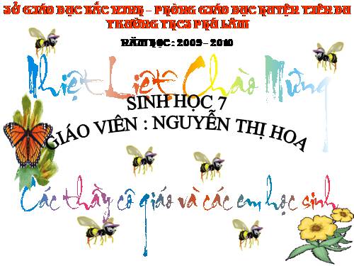 Thi GVG huyện Tiên Du