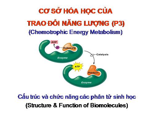 HÓA SINH HỌC (BÀI 3)