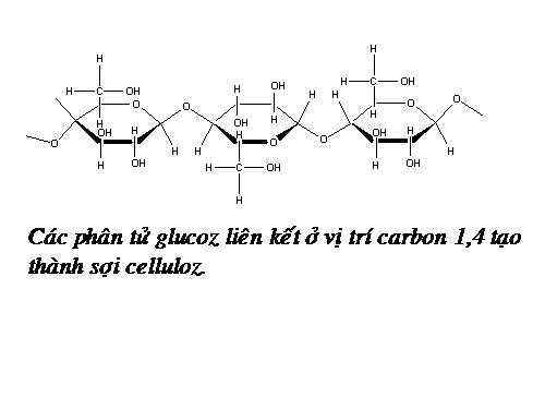 cellulozvapectin