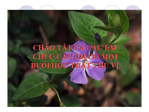 Tiet 14. Liên kết gen và hoán vị gen