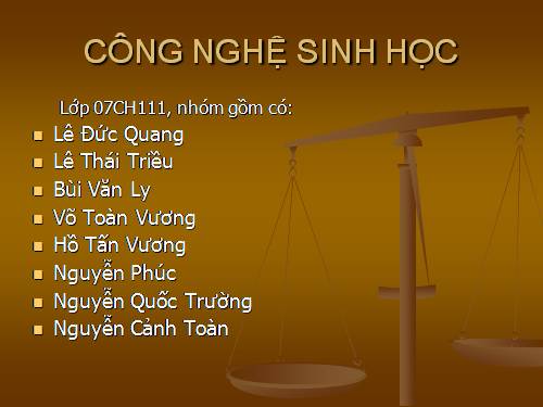 quy trình dịch mã
