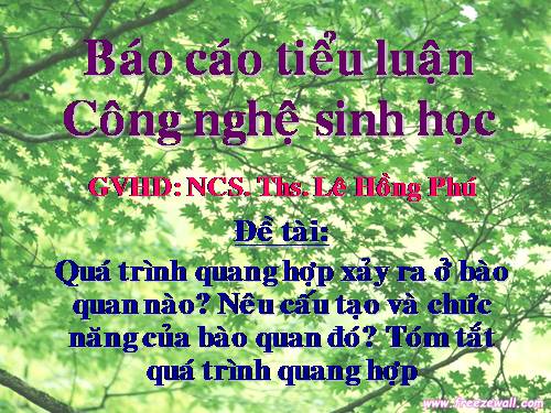 quang hợp 1